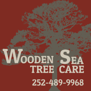 Wooden Sea Tree Care